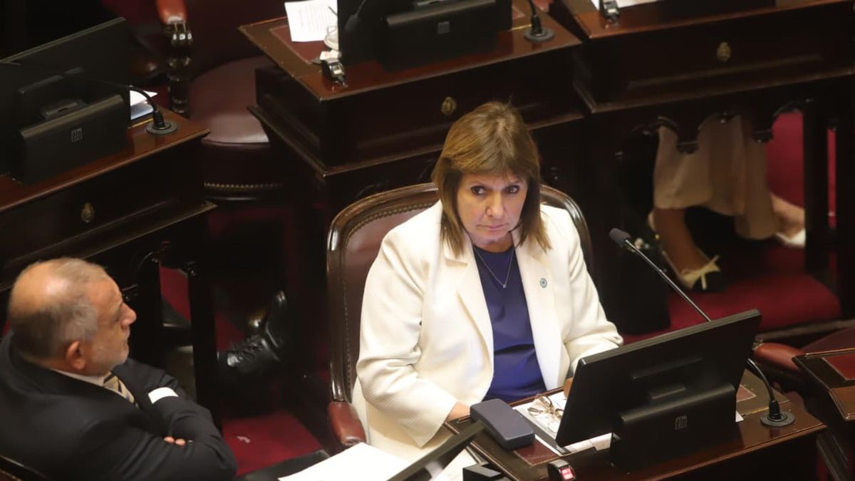 Patricia Bullrich admitió que desconocía los cambios en Discapacidad incluidos en el Presupuesto 2027