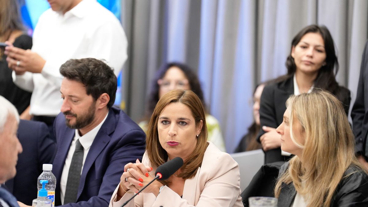 Una dirigente radical y actual funcionaria de Javier Milei disfrazó de cucarachas a todo el peronismo